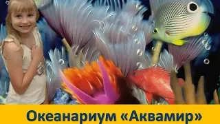 ВЛАДИВОСТОК ОКЕАНАРИУМ / Vladivostok Oceanarium