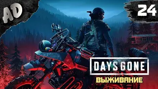 КАК ЖЕ ОН БЕСИТ! Прохождение Days Gone Жизнь После на Русском #24