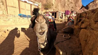 [4K] Mount Sinai | Mount Moses sunrise | Saint Catherine's Monastery