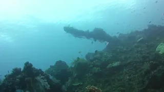 Examining the USS Liberty Wreck