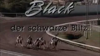 Black der schwarze Blitz - The Adventures of the Black Stallion