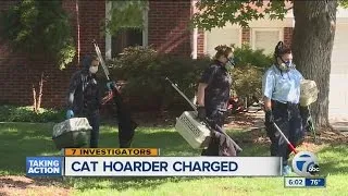 Cat hoarder charged after 100 cats are rescued from house in Livonia