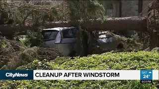 Thousands in GTA without power after windstorm