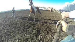 GO pro wild horse race