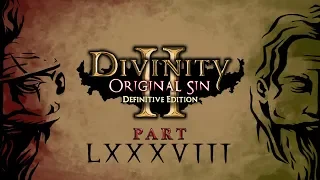 The Wellspring - Divinity Original Sin 2 Definitive Edition Part 88