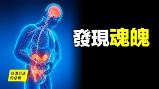 最新醫學發現，竟是道家魂魄學說，人體「第二大腦」的五個驚奇……|自說自話的總裁