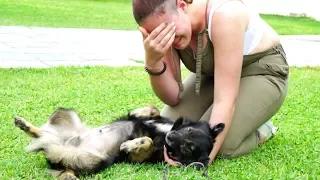 GIRL AND DOG REUNITED AFTER HER STEPFATHER DUMPED HIM IN A LANDFILL! INCREDIBLY MOVING!