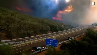 Waldbrände in Spanien: Autobahn wegen Feuer gesperrt | DER SPIEGEL