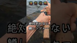 【穴釣り】大物が食いつく瞬間をとらえました#shorts