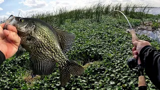 Pulling Holes Jiggin' for Crappie on Lake Okeechobee