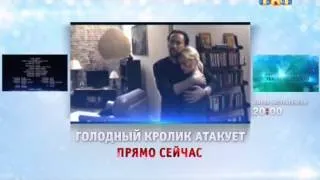 Голодный кролик атакует