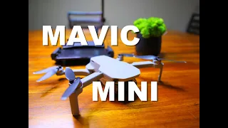 Распаковка дрона DJI MAVIC MINI.Летаю в Канаде.Андрей Набутовский.