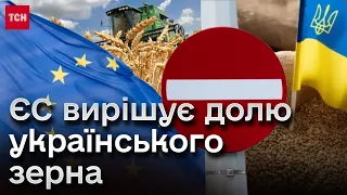 ❗️❗️ Дві країни проти українського зерна! Хто у ЄС хоче обмежити імпорт з України?