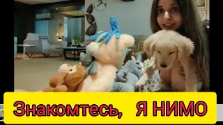 В гости к СЮЗАННЕ и .....