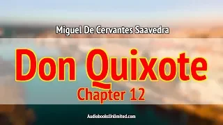 Don Quixote Audiobook Chapter 12