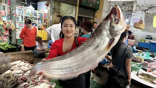 Market show: Buy big river fish and cooking - Cooking with Sreypov