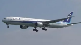 ANA B777--300 at Naha Airport 那覇空港の全日空ボーイング777-300