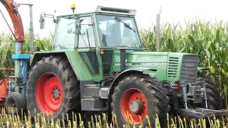 Mais Silage 2021 w/ Fendt Favotrit 612 LSA Turbomatik in the field chopping corn | Corn Silage