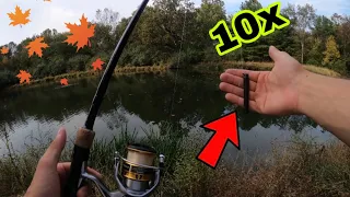 This Fall Finesse Bait Will Catch You 10x More Bass (fall fishing tips)