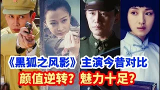 《黑狐之风影》主演今昔对比，顾婷，赵静颜值飙升太美了，他老了