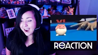 Shandab3ar Reacts: UNUSUAL MEMES COMPILATION V115