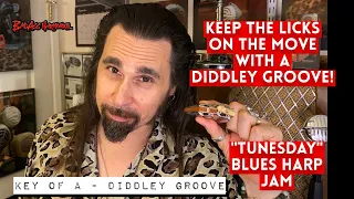 How To Not Suck with a Bo Diddley Groove! Blues Harmonica Jam Tracks - Key of A  Tunesday 64