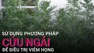 Mẹo điều trị viêm họng bằng phương pháp cứu ngải | VTC Now