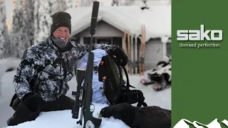 Majestic capercaillie hunt on skis at -30°C