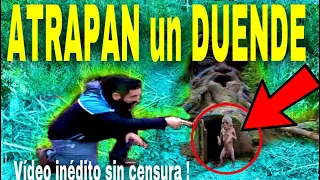 Duendes grabados hablando por primera vez  (nuevo vídeo viral )