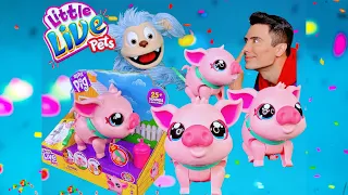 New My Little Live Pets My Pet Pig Piggly Interactive Toy Unboxing ( SOOO CUTE !!!)