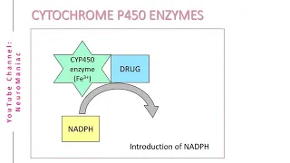 BIOCHEMISTRY - CYTOCHROME P450 ENZYMES AND OXIDATION PROCESS