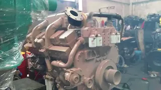 Cummins kt 38 first start after overhaul by nfc marine