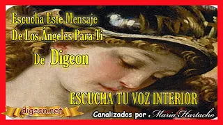 MENSAJE de los ÁNGELES PARA TI DIGEON💌ARCÁNGEL GABRIEL💗ESCUCHA TU VOZ INTERIOR🔴enseñanzas VERTI🔴