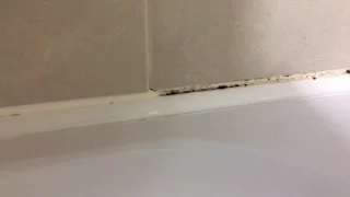 How To Remove Mold Mould From Silicone Sealant In Bathroom Shower