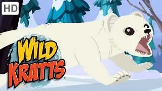 Wild Kratts 🐵❄️🐰 A Winter Fur Change ❄ Happy Holidays! ❄ Kids Videos