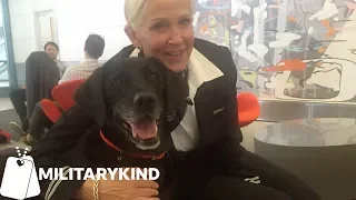 Flight attendant reunites military dogs and handlers | MIlitarykind