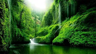 Soothing Stress Relief Music With Beautiful Nature 🍀 Stop Anxiety, Depression & Bad Vibes #49