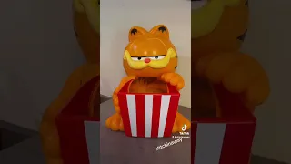 Garfield Collection - Garfield Lover 👍🏻😍