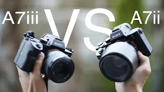 SONY A7ii VS A7iii VIDEO AUTOFOCUS COMPARISON 2019