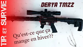 Derya TM22, test de cartouches .22LR