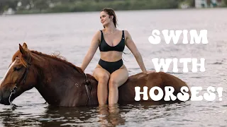 SWIMING WITH HORSES IN FLORIDA?! || Florida beach horses
