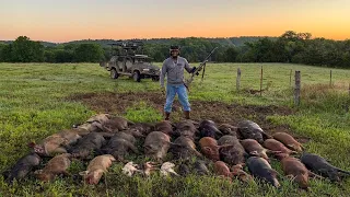 31 Wild Hogs Down! (1280 Footage)