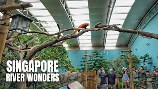 River Wonders Singapore Walking Tour (4K HDR)