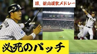 【必死のパッチ】阪神タイガース関本賢太郎旧、新応援歌メドレー演奏！