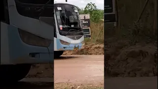 Potret Bus Pinguin Melintasi Koridor II PT RAPP