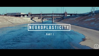 Neuroplasticity (Part I) - Malik Swift