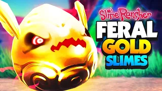 Making FERAL GOLD SLIMES with Mods! - Slime Rancher Mods