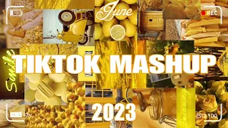 TikTok Mashup June 2023 💃💃(Not Clean)💃💃