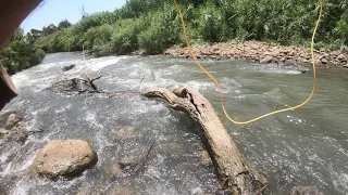 Flyfishing in Israel - Jordan river