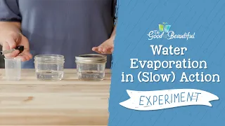 Water Evaporation in (Slow) Action Experiment | Weather and Water | The Good and the Beautiful